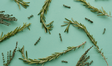 Rosemary